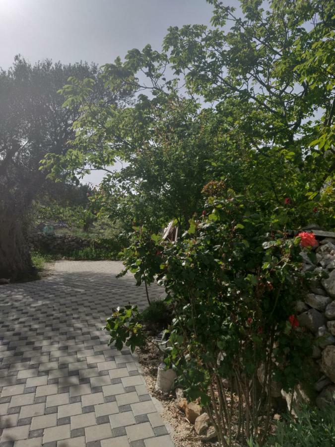 Guest House Maslina Vinišće 外观 照片